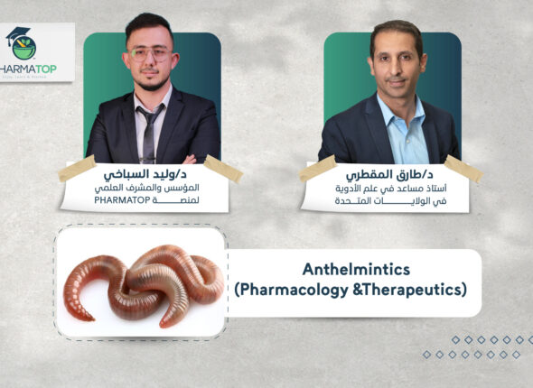 كورسات الموقع-14